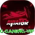 migapg Gaming VIP
